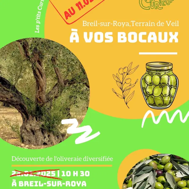 Atelier découverte curieux de nature : A vos bocaux !_Breil-sur-Roya