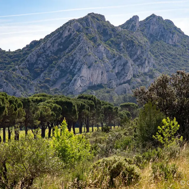 Domaine de la Vallongue Eygalières montagne