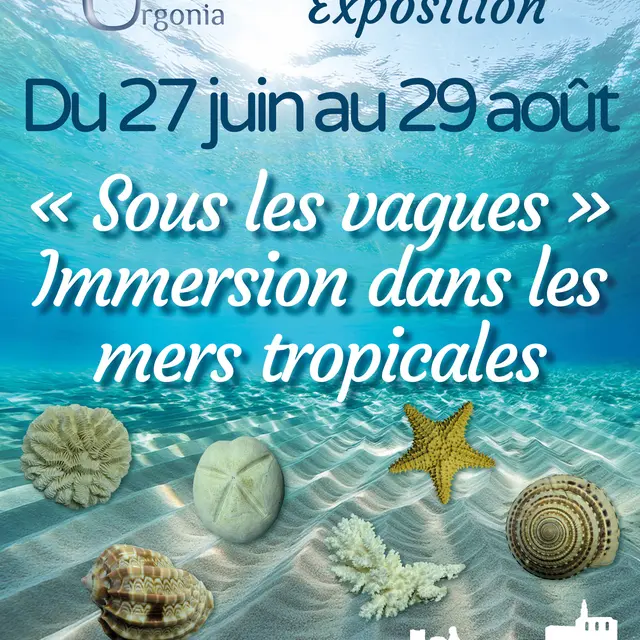 Exposition « Sous les vagues » - Immersion dans les mers tropicales_Orgon