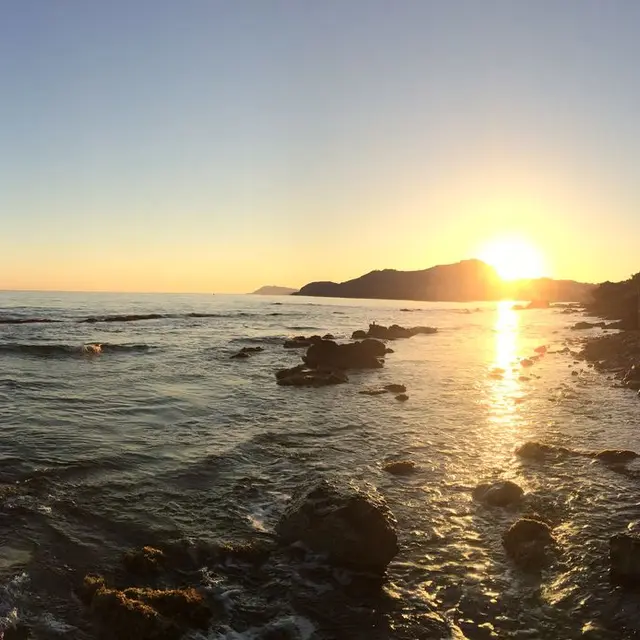 Vue depuis le jardin