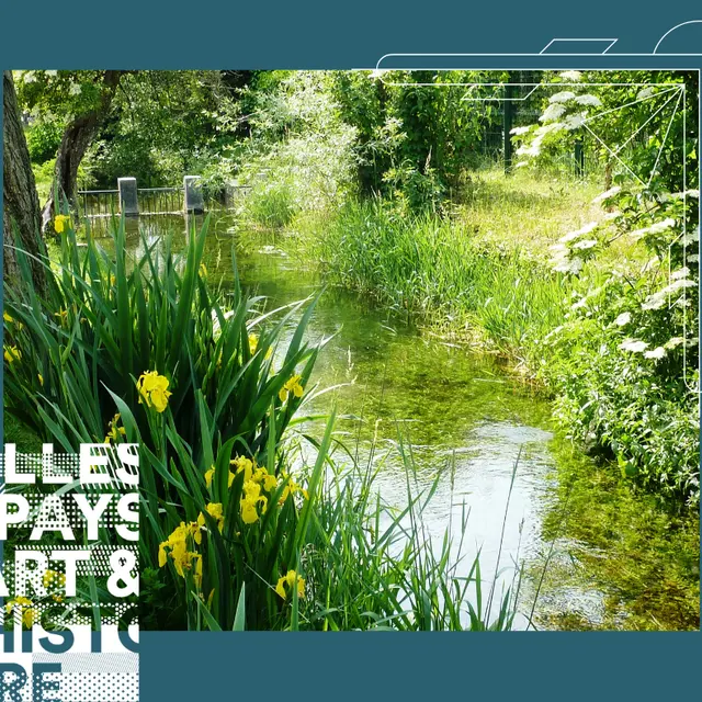 Visite guidée : le quartier de Châteauvert, site patrimonial remarquable_Valence