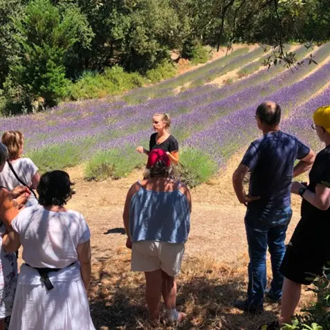 Visites, Animations et Ateliers: Distillerie Bel Air_Saint-Just-et-Vacquières