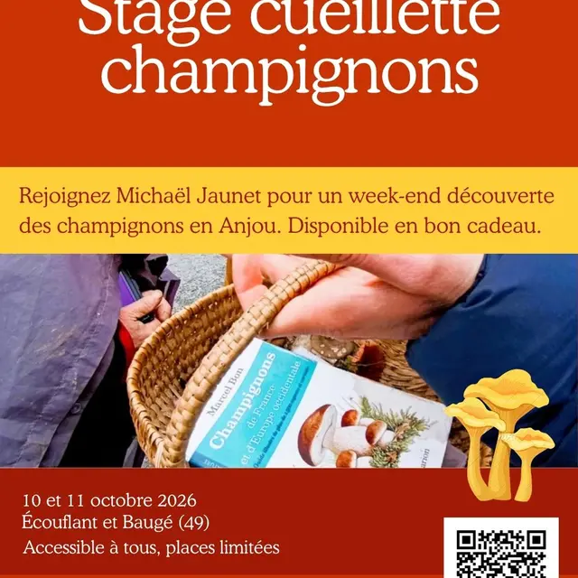Stage cueillette champignons 1 journée:_Écouflant