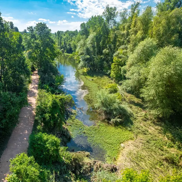 Les bords de l'Allier à Abrest