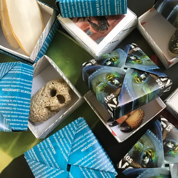 Petits jeux Muséum de l'été Mers et océans_Marseille