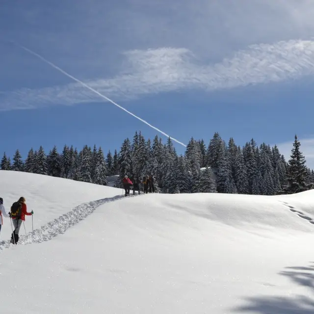 Circuit de la Ménardière - Entremont le Vieux