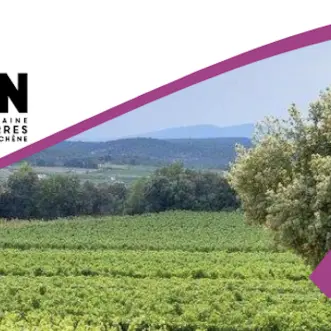 Vignes Réboussières au Domaine Terres d'Hachène_Saint-Nazaire-des-Gardies