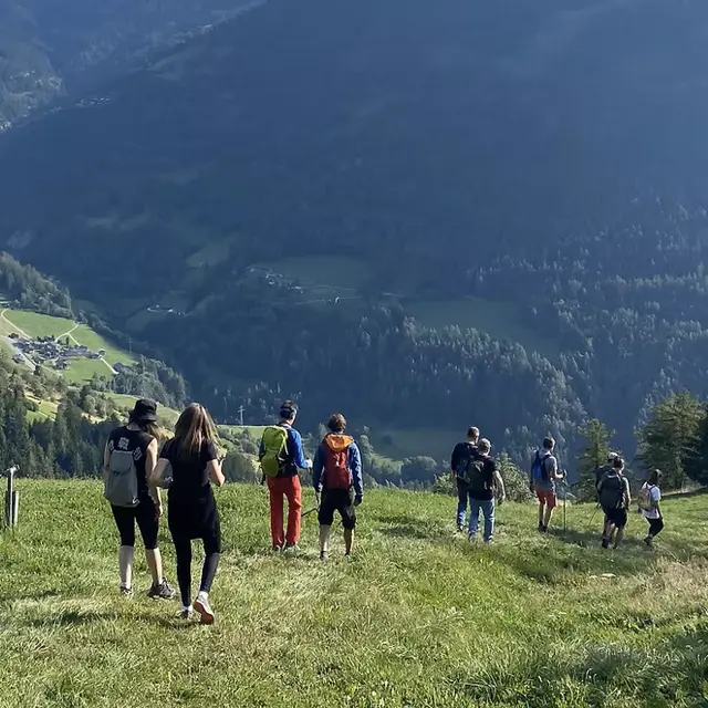 Fête de la Nature | Découverte des narcisses et jonquilles du Val d'Illiez_Troistorrents