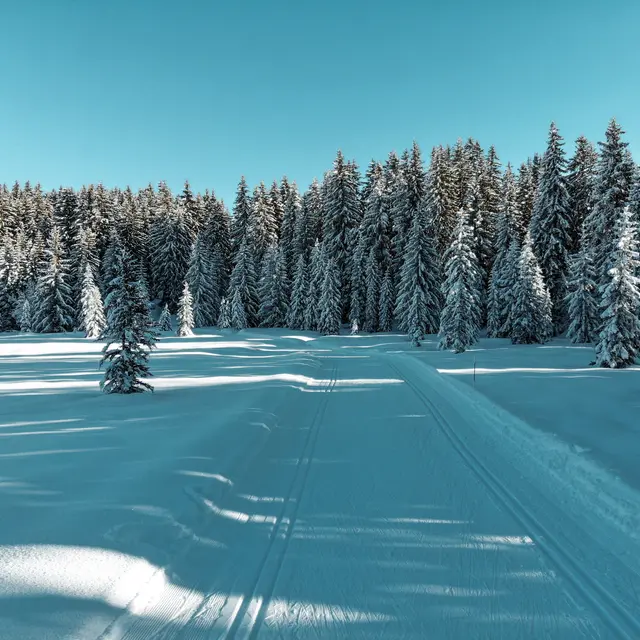 Ski nordique en nocturne_Thônes