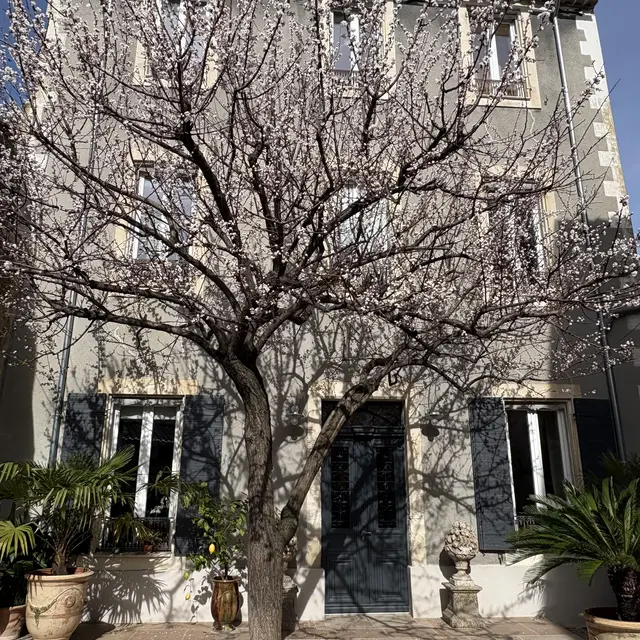 Maison Honorine en Provence_Caderousse