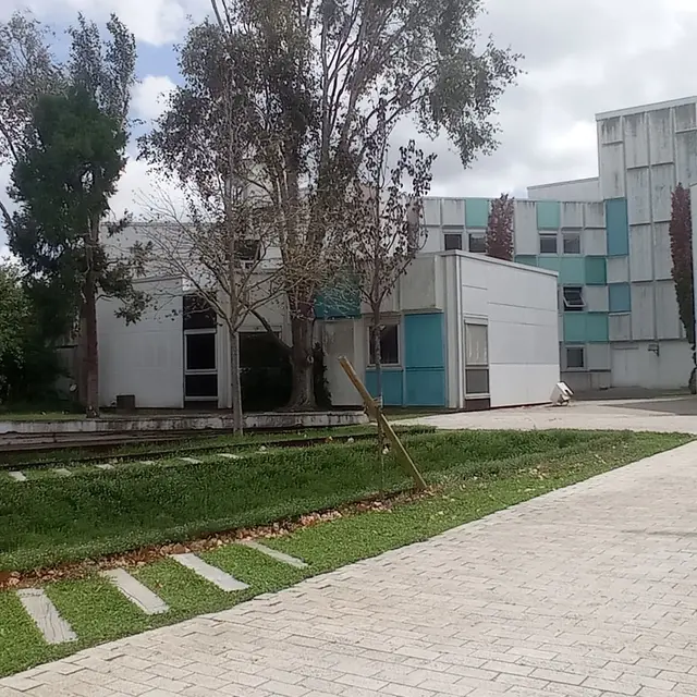 Journée internationale pour l'élimination des violences à l'égard des femmes_Martigues