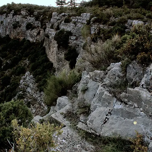 herman de vries, point, 2004-2006, Collection musée Gassendi