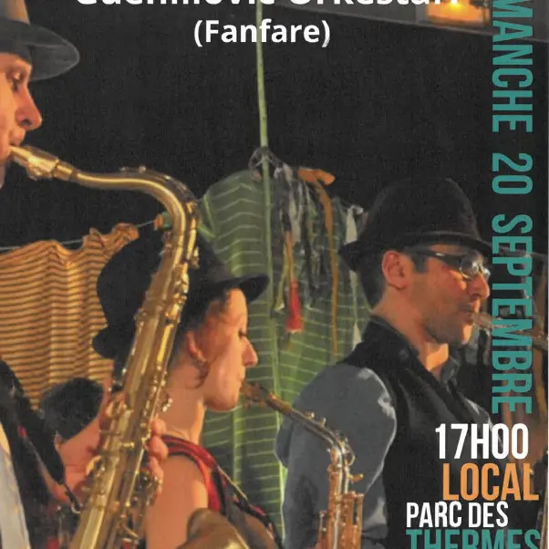 Guenillovic Orkestarr au Pourquoi Pas_Allevard