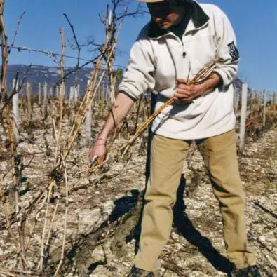 Apéro'Vignes au Domaine La cave de mon père - Musée du Vigneron_Porte-de-Savoie