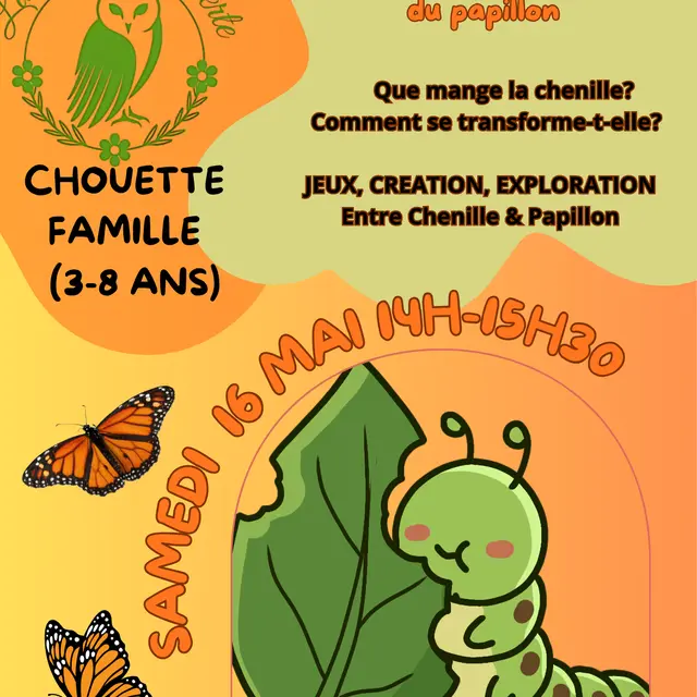 a la découverte du papillon