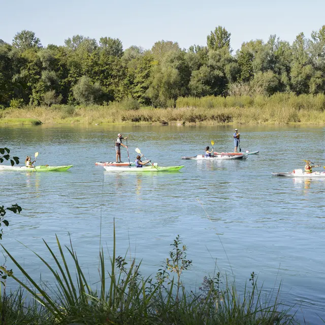 Canoë Rhône sauvage