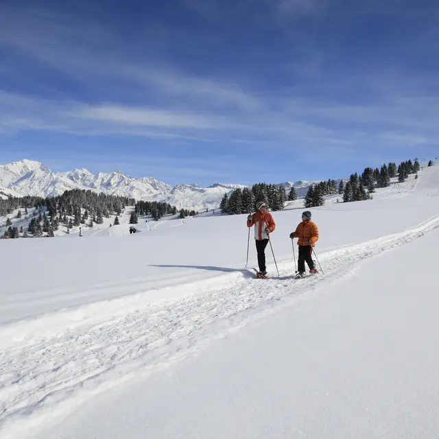 sentier-dame-le-mont-clocher