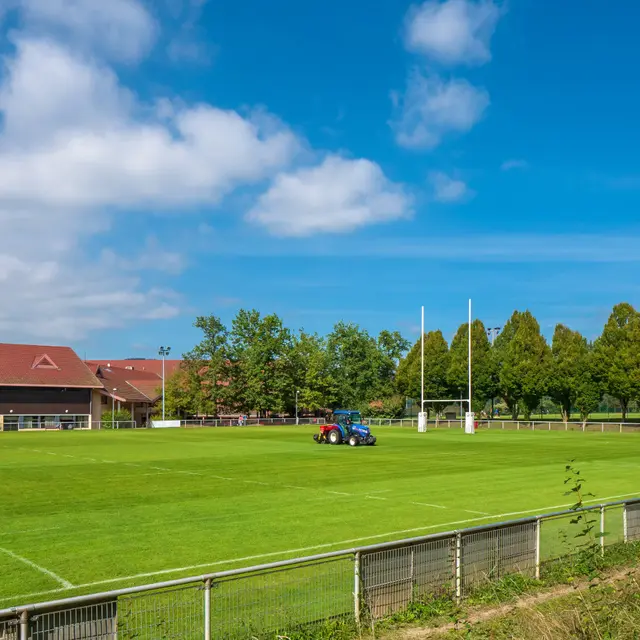 Rugby Glaisins