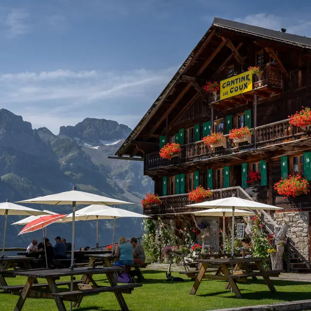 Cantine Sur Coux_Champéry