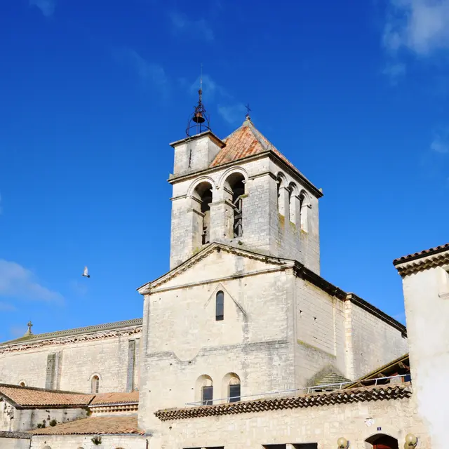 Journées du patrimoine : Exposition par la société archéologie_Saint-Paul-Trois-Châteaux