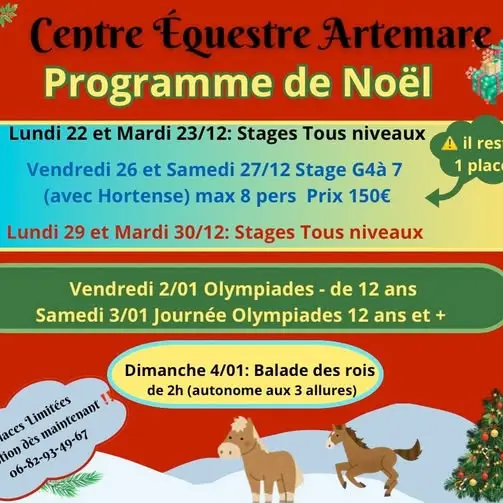 Stages des vacances de Noël au centre équestre d'Artemare_Artemare