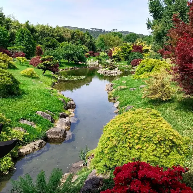 Visites exclusives du jardin d’inspiration japonaise « Le Vallon du Dragon »_Générargues