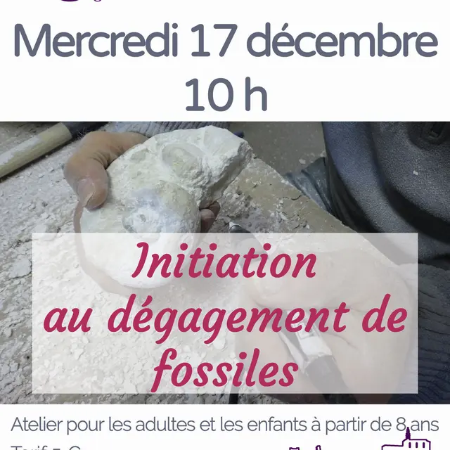 Atelier d'initiation au dégagement de fossiles_Orgon