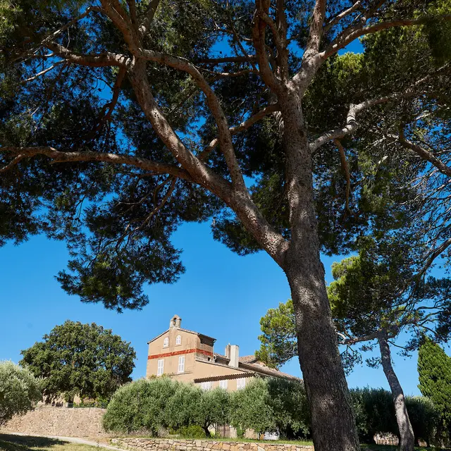 Vin et Energie au Château la tour de l'Evêque