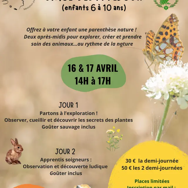 stage nature enfant
