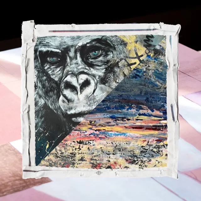 Exposition : 2 regards, 1 monde d’émotions_Sanary-sur-Mer