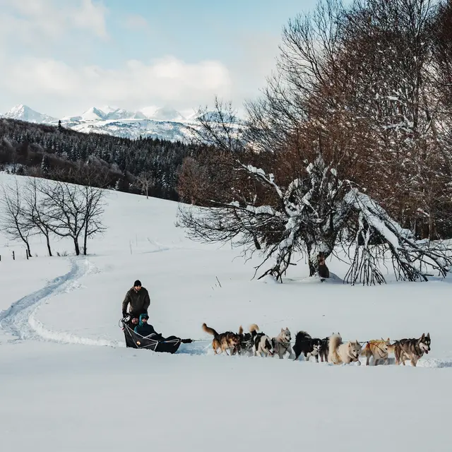 Attelage sur neige, Terre Sauvage