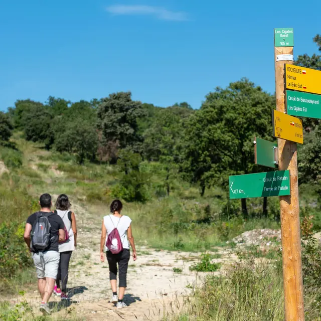 Sentier de randonnée de Vachères