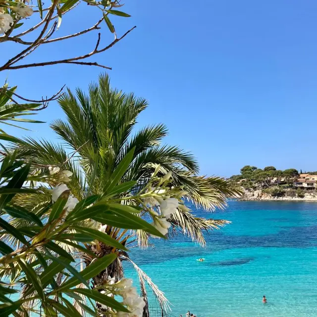 Plage Renecros Bandol