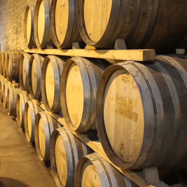 Visite de la cave - Rhonéa Cave de Rasteau_Rasteau