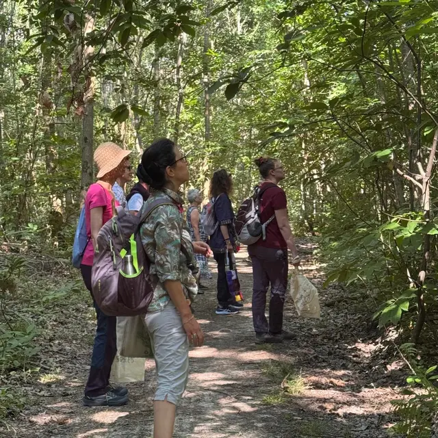 en forêt, pas de côté
