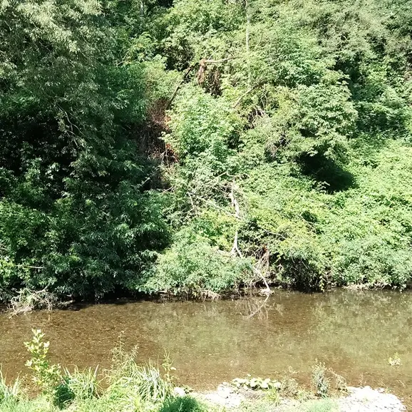 L'Auzonnet_Saint-Jean-de-Valériscle