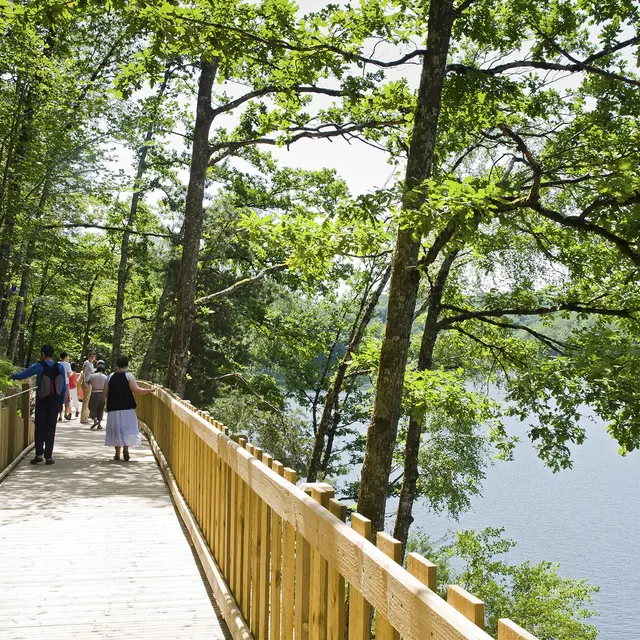 Lac du Barrage de St Etienne Cantalès