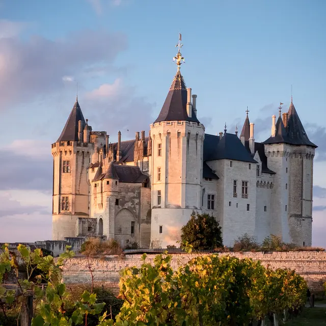 Chateau de Saumur