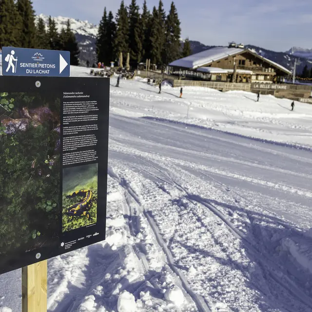 Visite de l'exposition Détails du vivant au Lachat_Crest-Voland