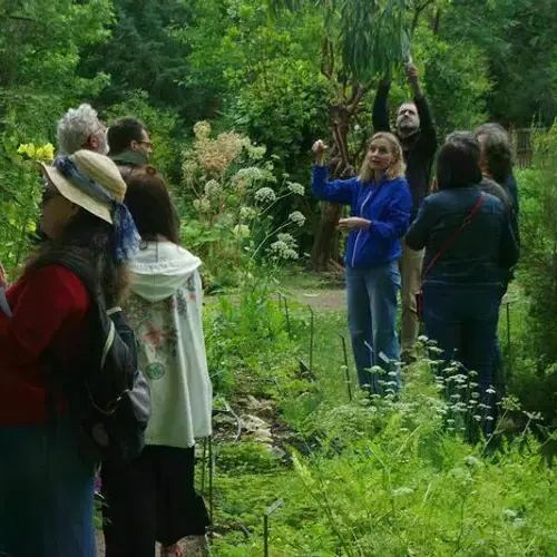 Jardin faculté santé