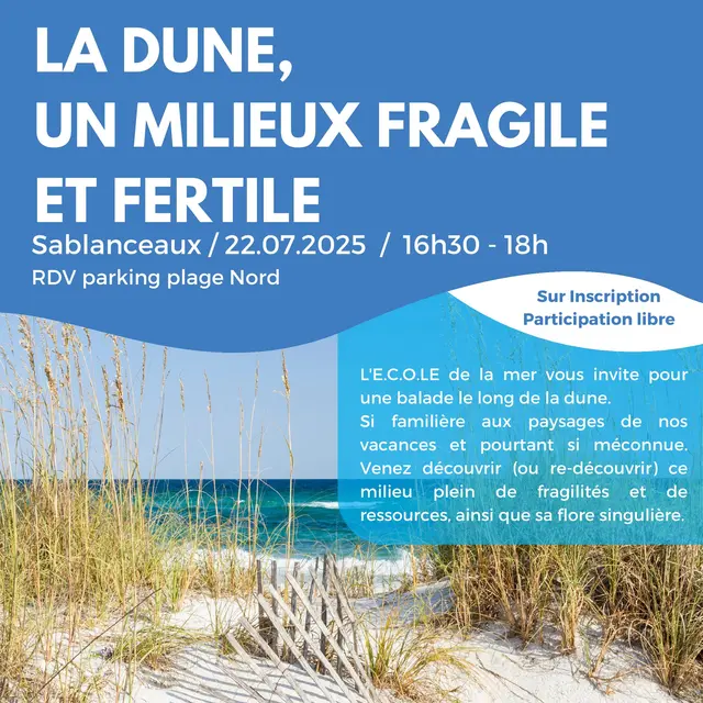 La Dune, un milieu fragile et fertile_Rivedoux-Plage