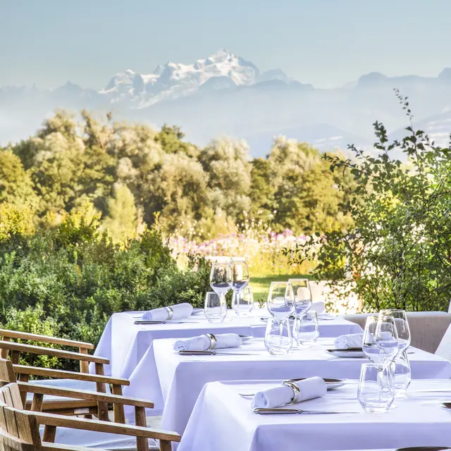 Terrasse vue Mont Blanc