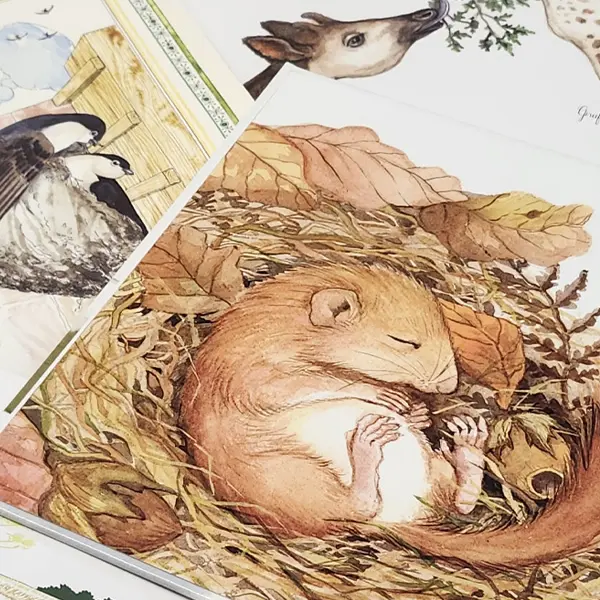 La Bébé-Bib : les toutes petites lectures_Marseille