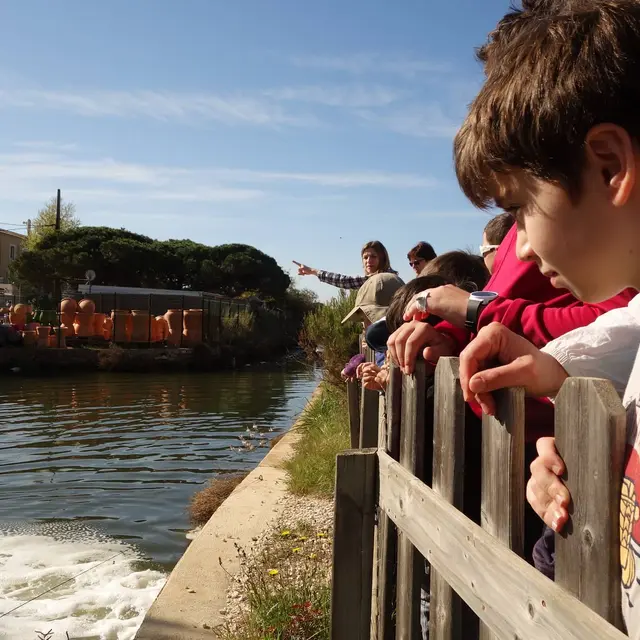 visite guidée au pays du sel salin des pesquiers enfants ludique