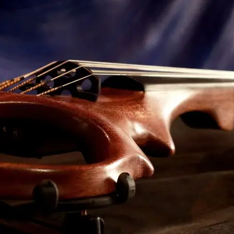 ETJ Violin