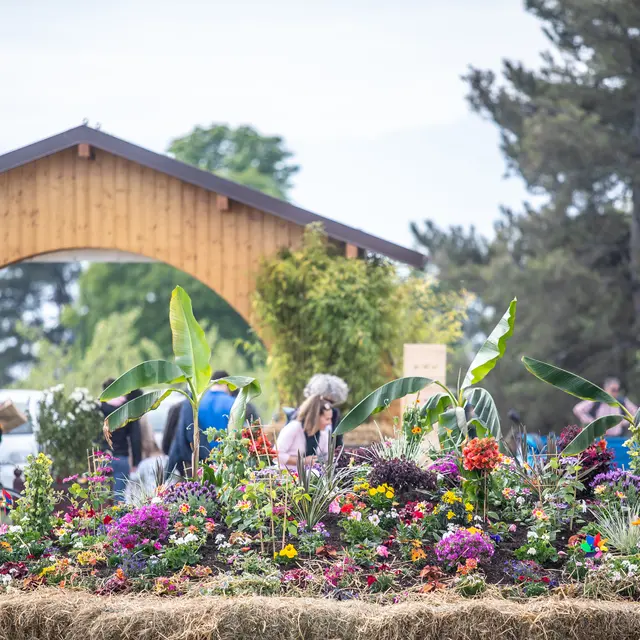 Folie(s) Végétales 2026 - Stand d'artisanat végétal_Thonon-les-Bains