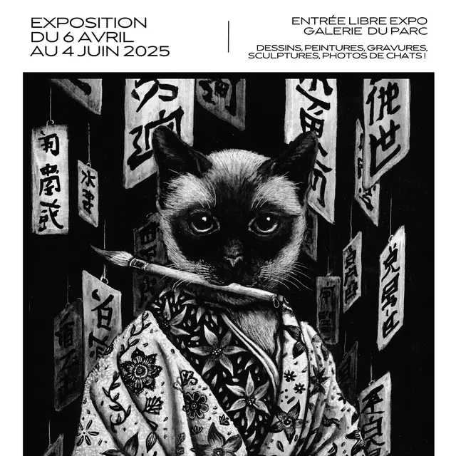affiche des chats