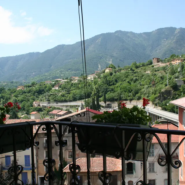 vue du balcon gite 301.JPG