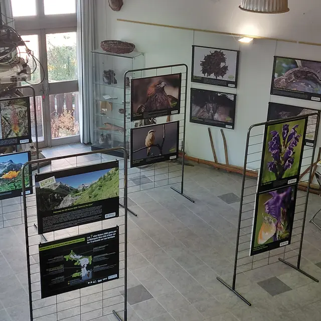 Exposition photo ô lumières_Saint-Dalmas-le-Selvage