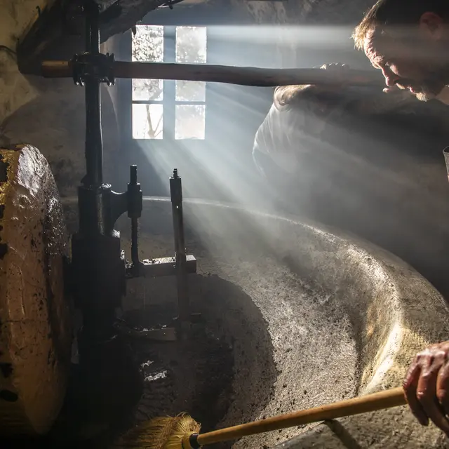 les moulins en mouvement visite guidée flash_Entrevaux